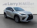 2021 Lexus NX NX 300 F SPORT