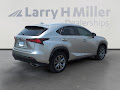 2021 Lexus NX NX 300 F SPORT