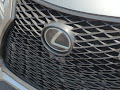 2021 Lexus NX NX 300 F SPORT